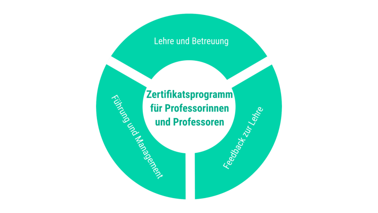 Kurz-Übersicht Zertifikatsprogramm für Professorinnen und Professoren