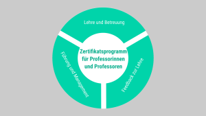 Kurz-Übersicht Zertifikatsprogramm für Professorinnen und Professoren